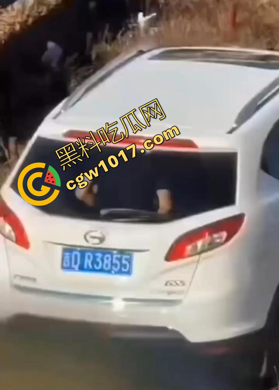 辽源市的吉DR3855 野外车震完整曝光！大屁股后入白嫩晃眼，车主直接社死全国！-1