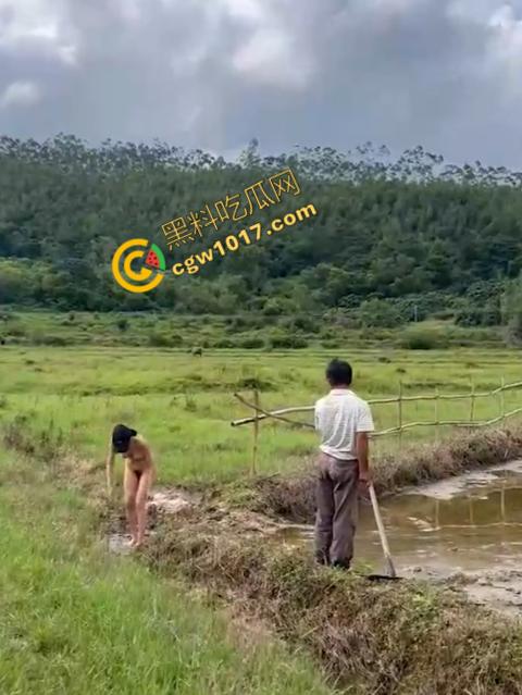 极品尤物CikaiMoon大尺度暴露!穿越稻田,酮体迷人,巨波荡漾,翘臀蹦跳,农民伯伯纷纷回眸,欲火中烧!-11