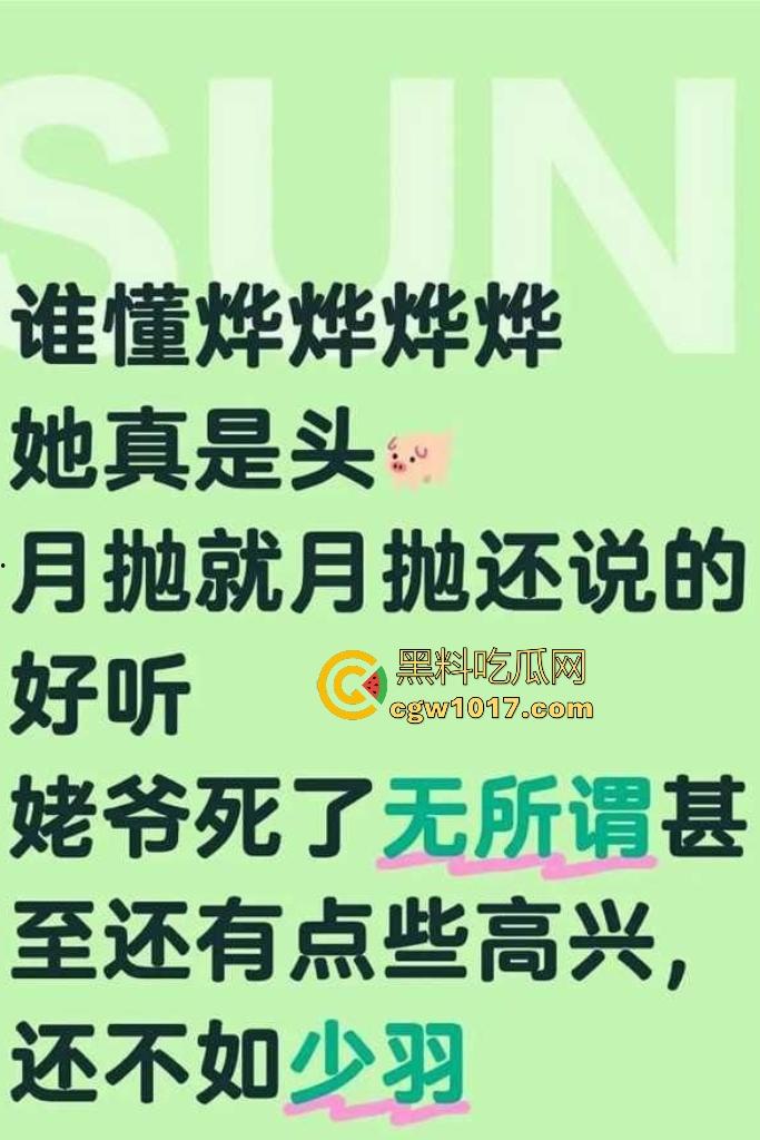 抖音【烨烨烨烨】外公去世还要去柏林游玩，亲人尸骨未寒就蓝天自拍，还蹭哀悼流量，如果外公还在世该多心寒啊！-5
