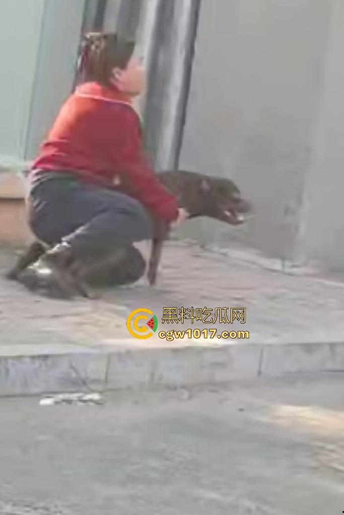 大爷手贱开狗笼被比特犬当场反咬!女主人抱不住狗,大妈大爷拿棍子打像挠痒,比特犬得配上香料才安抚大爷的心!-6