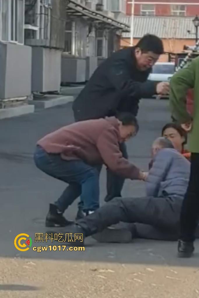 大爷手贱开狗笼被比特犬当场反咬!女主人抱不住狗,大妈大爷拿棍子打像挠痒,比特犬得配上香料才安抚大爷的心!-9