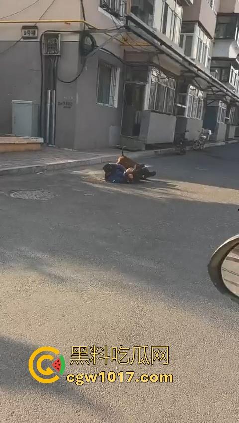 人狗街头大战!比特撕咬绝望老登,撕咬了一会主人拦开,狗子越想越气再次扑咬,不是路上这么多人就合着要这老头呗!-1