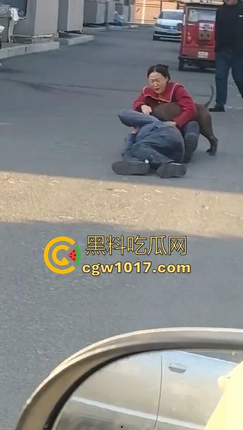人狗街头大战!比特撕咬绝望老登,撕咬了一会主人拦开,狗子越想越气再次扑咬,不是路上这么多人就合着要这老头呗!-6