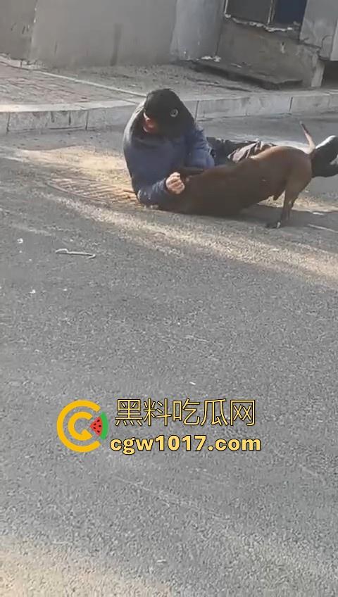 人狗街头大战!比特撕咬绝望老登,撕咬了一会主人拦开,狗子越想越气再次扑咬,不是路上这么多人就合着要这老头呗!-2