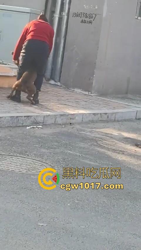 人狗街头大战!比特撕咬绝望老登,撕咬了一会主人拦开,狗子越想越气再次扑咬,不是路上这么多人就合着要这老头呗!-4