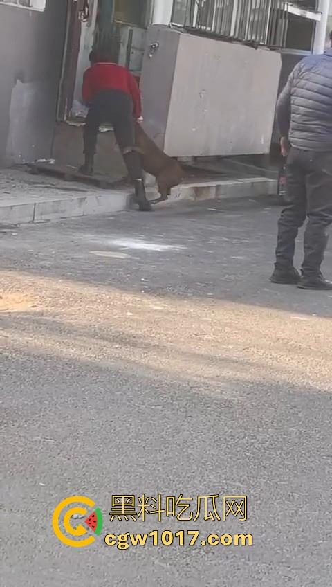人狗街头大战!比特撕咬绝望老登,撕咬了一会主人拦开,狗子越想越气再次扑咬,不是路上这么多人就合着要这老头呗!-7