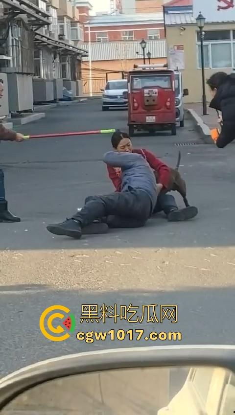 人狗街头大战!比特撕咬绝望老登,撕咬了一会主人拦开,狗子越想越气再次扑咬,不是路上这么多人就合着要这老头呗!-8