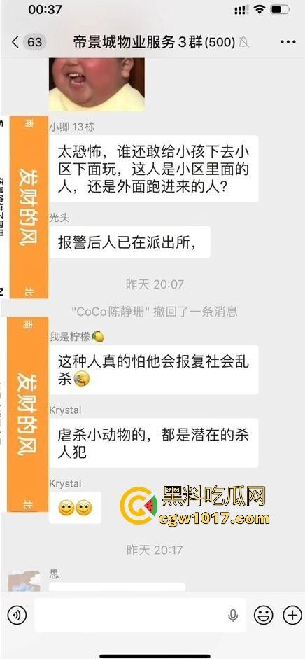 广东揭阳缔景城小区有人虐猫,深夜拿弓箭弓弩射小区小猫咪,在小区乱射箭,如入无人之境,今天敢射猫明天就敢射人!-2