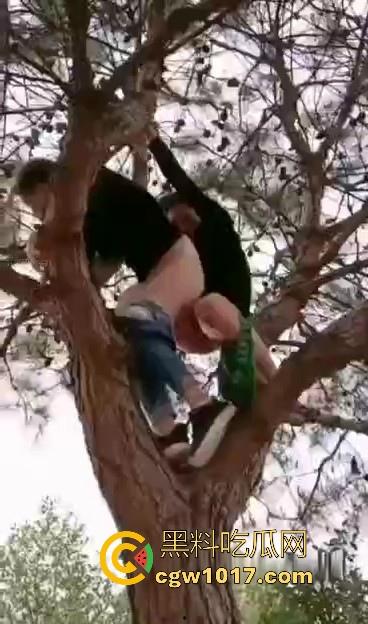 小编精选户外野战做爱视频，各种场景各种大胆做爱露出，无视众人猛插骚逼，只友你想不到的没有他们不敢操的！-5