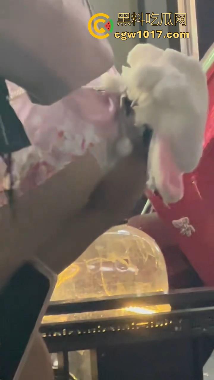 街头偶遇骚逼母狗执行主人的户外任务!齐逼短裙配透明小尾巴内裤,街头大胆露出,小骚逼玩刺激的是吧!-8