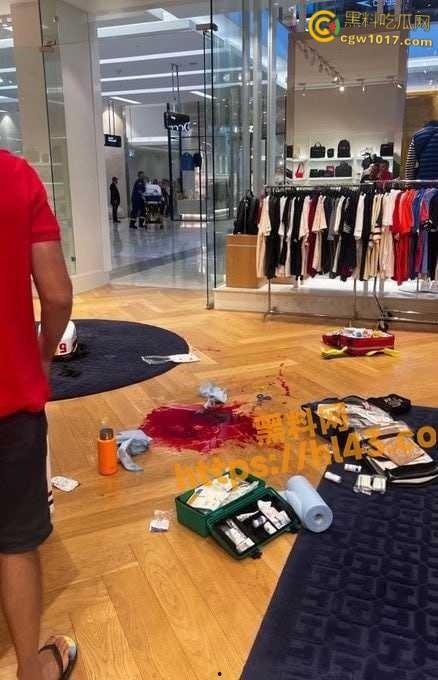 澳大利亚悉尼购物广场,发生无差别持刀砍人事件,网传现场30多人被刺,商场都是尸体多人死亡 !-5