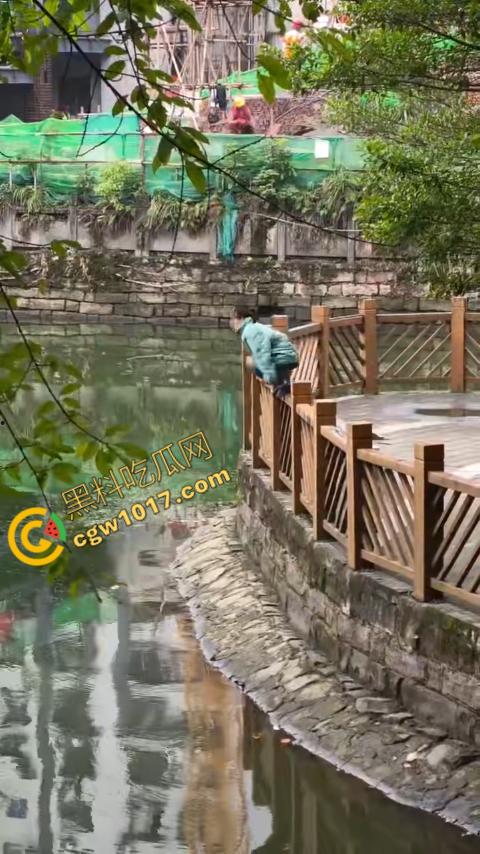 重庆湖边惊魂:绝望女子跳湖,勇敢路人生死救美,惊险拯救,揪心一刻,心跳加速,惊险刺激!-2