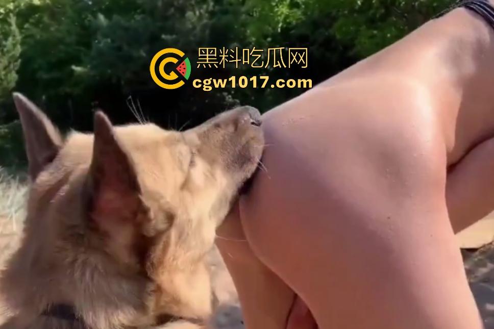 国外美女竟然喜欢和狗杂交！训练大黄狗舌舔骚B，红狗屌后入猛插，射完还要继续舔狗屌，狗子挣脱都怕啦-3