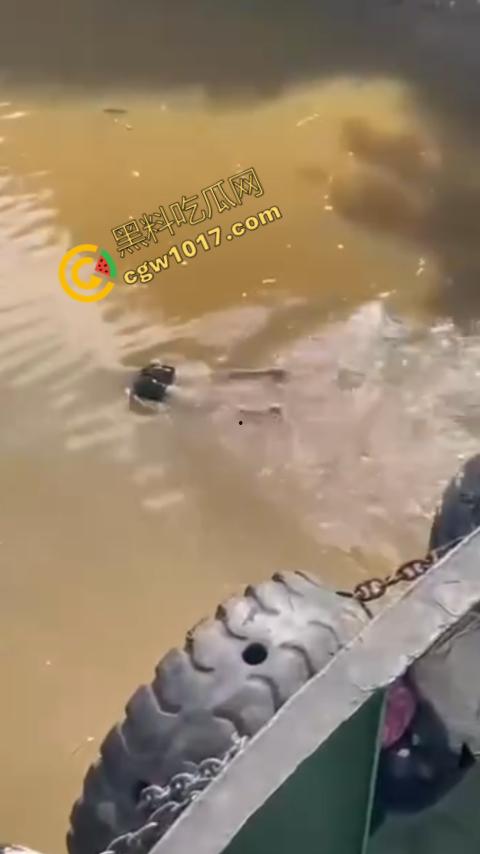 男子野泳惨遭鳄鱼袭击,身体被肆意撕裂,尸体血肉模糊,搜救队惊惧地目睹这惨绝人寰的一幕-6