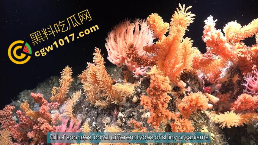 南极科考内部视频劲爆流出：30种未知致命生物！从“死亡之球”到“僵尸蠕虫”，史前病毒横行，足以令人毛骨悚然！-11