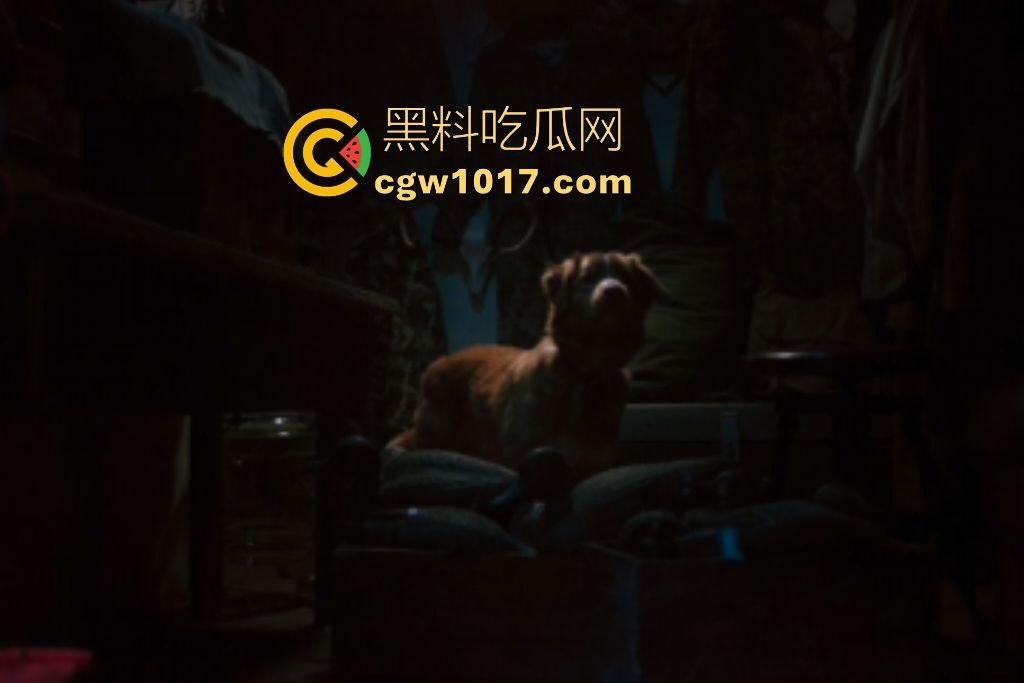 电影【好狗狗】,乡下老宅鬼影幢幢印第狂吠撕咬恶灵,邻居猎人装妖魔潜伏,忠犬搏命救主,真是条好狗狗!-2