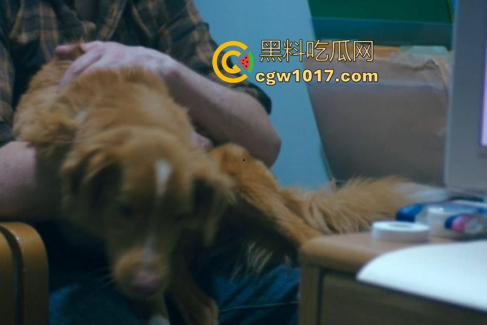 电影【好狗狗】,乡下老宅鬼影幢幢印第狂吠撕咬恶灵,邻居猎人装妖魔潜伏,忠犬搏命救主,真是条好狗狗!-4