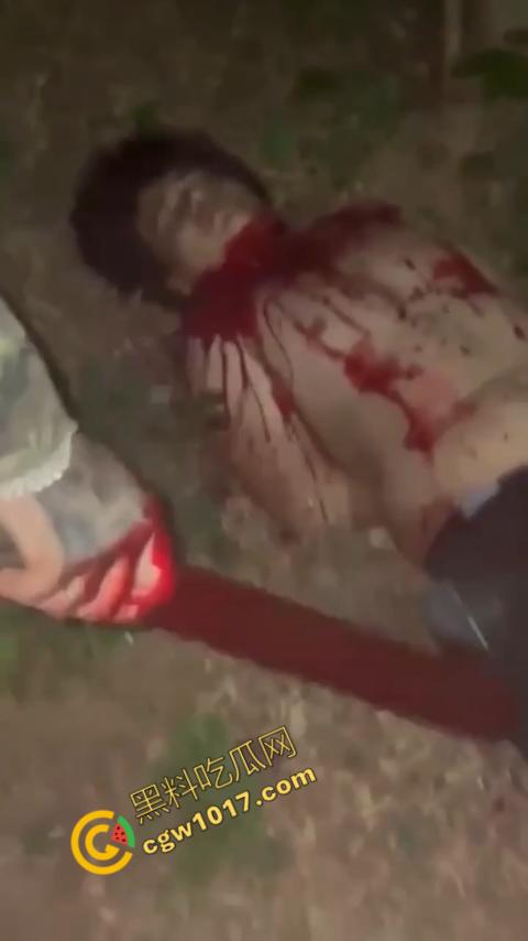 惊悚巴西雨林:鲜血四溅,砍喉视频引发恐慌,暴力画面惊骇世人,血腥场面令人喘不过气!-9