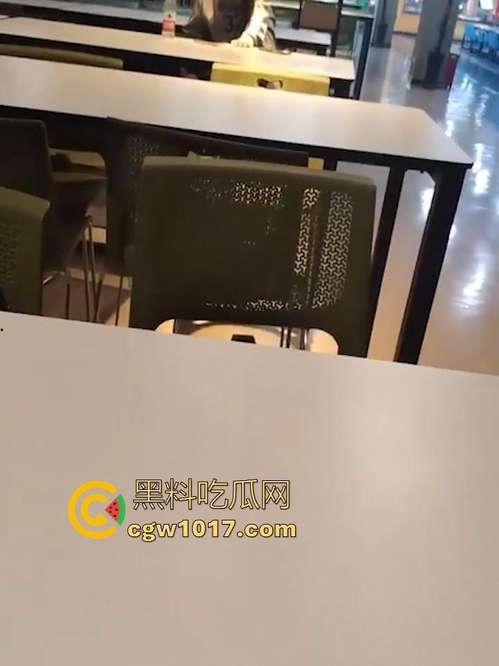 餐厅内情侣大胆玩抠逼,妹子表情扭曲高潮,全自动骑乘榨精,从娇羞到高潮喷潮,合着我们都是你们pay中的一环呗!-7