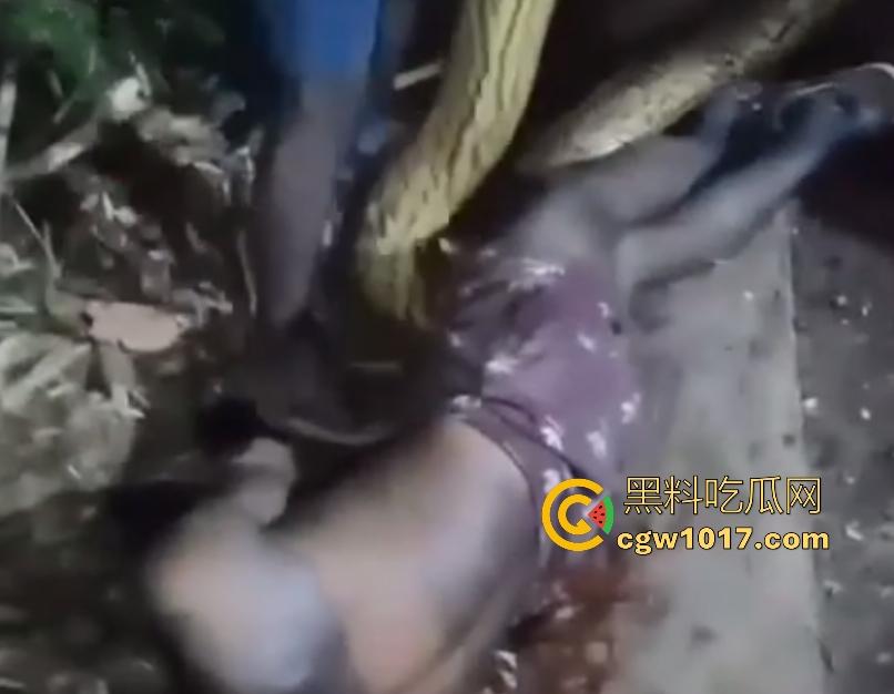 印度醉汉被巨蟒缠绕绞杀,骨骼咔咔断裂脸黑如炭,俩亲兄弟把蟒蛇抬走说喝点恒河水能活,这都黑了还能救?-7