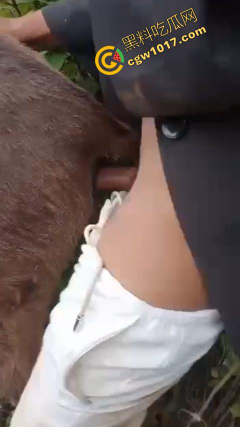 劲爆!国外男子大战骡子私拍震惊网络!阳光下奋力抽插,骡子吃草欢声不断,男子大屌进出嫩穴,友人拍摄更添刺激!-8