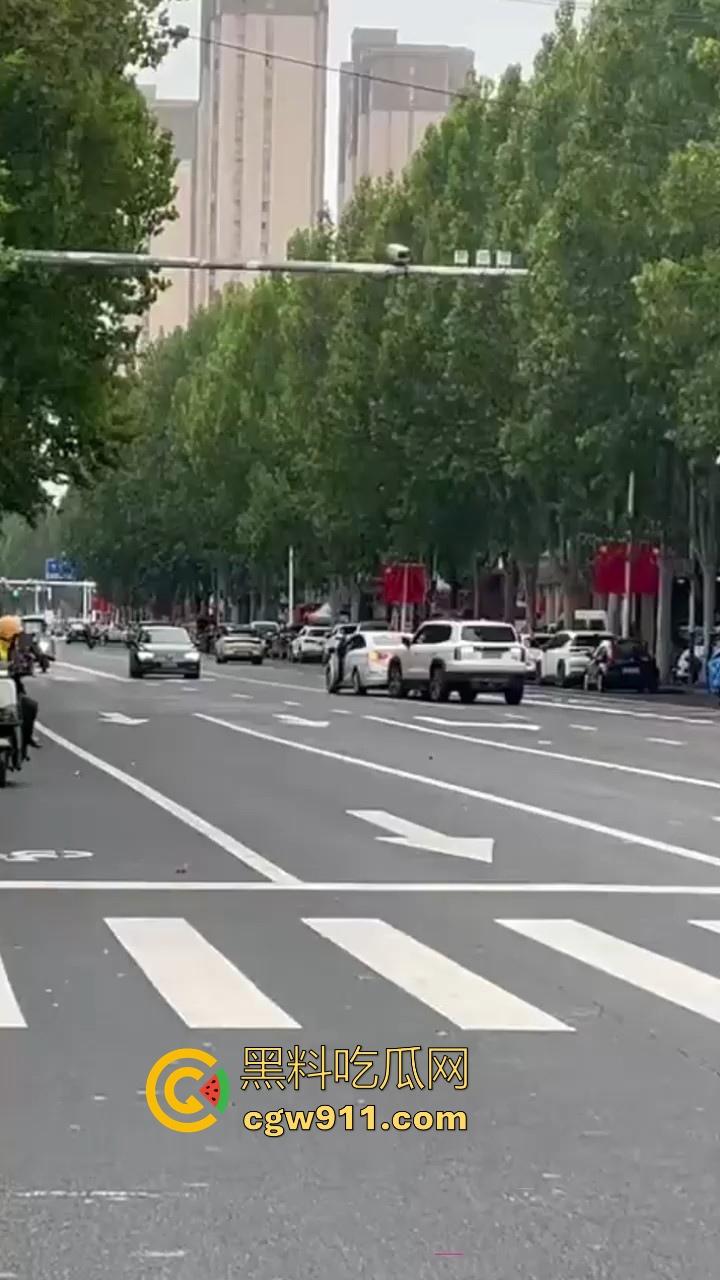 现在的人怨气实在是太重了，河南郑州凶手驾车撞伤女子，将其捅死随后当场自杀身亡，画面血腥胆小慎入！-1