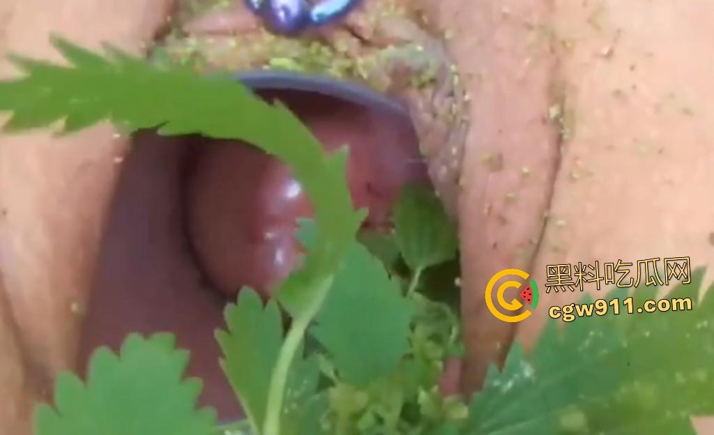 欧美老骚货狂虐宫颈!扩阴器撑开巨逼塞荨麻草,痒痛喷汁高潮不止,狠逼不怕肿胀只求刺激快感!-4