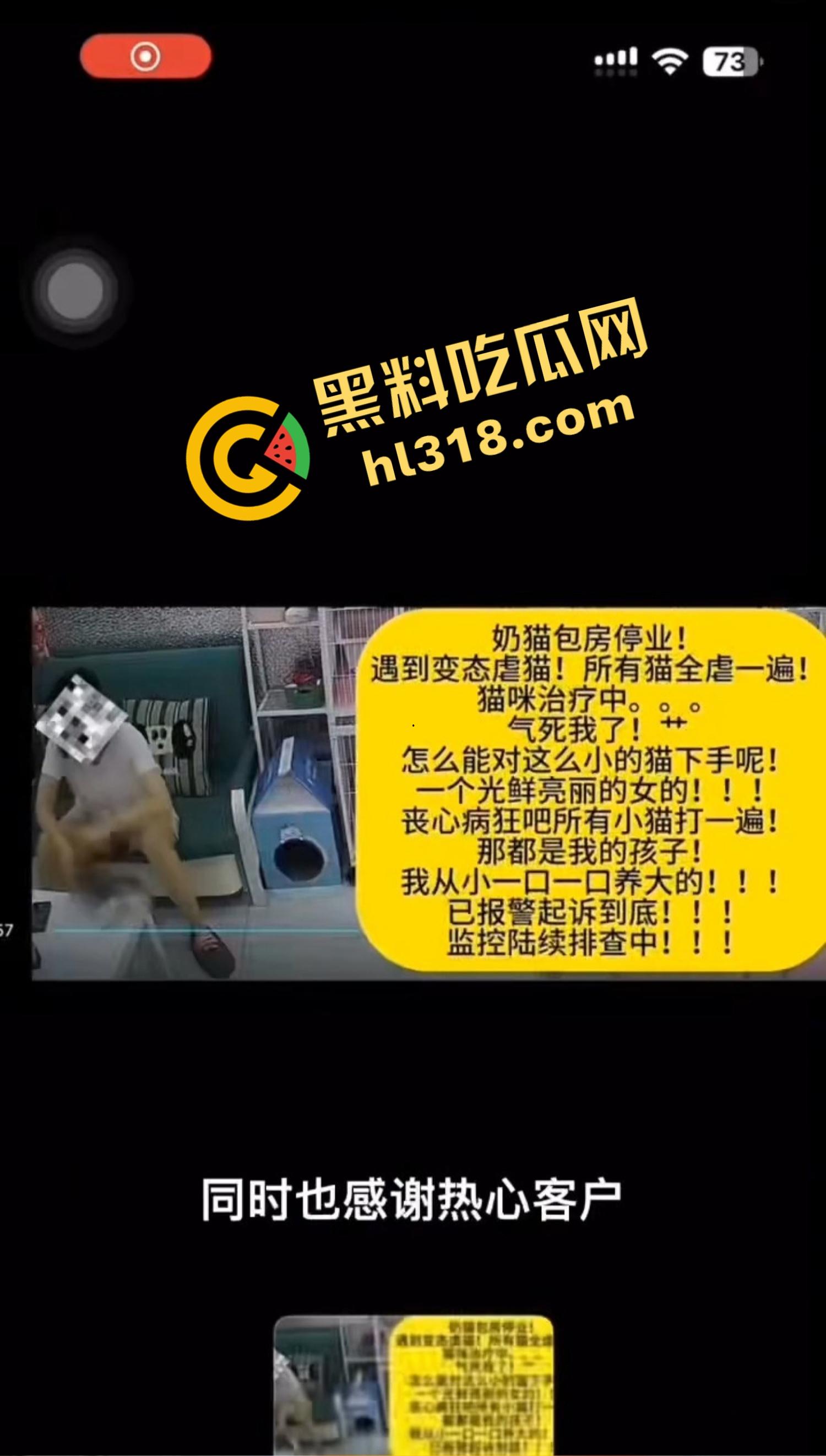 沈阳猫咖惊现女魔头虐猫狂魔,4只奶猫惨死2只重伤,老板怒曝监控报警,宠物圈集体避雷!-5