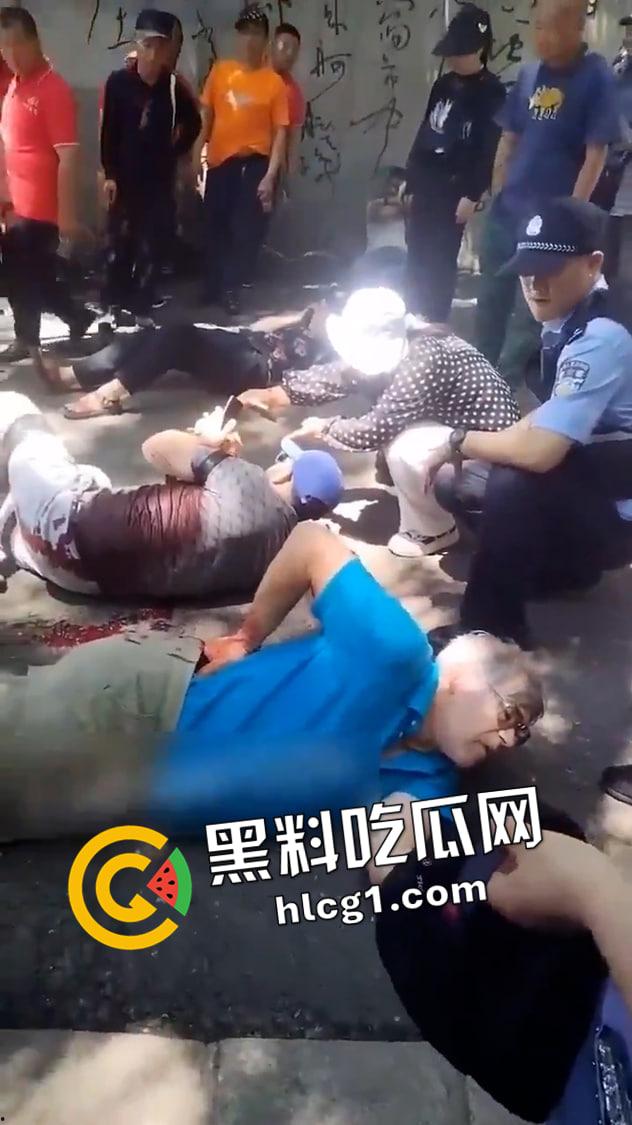 吉林四名外国教师公园参观被刺杀 凶手仍流落在外 现场血腥视频流出-4